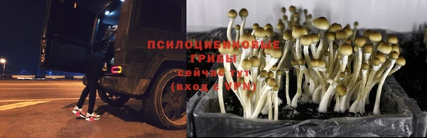 кокаин колумбия Нефтекумск