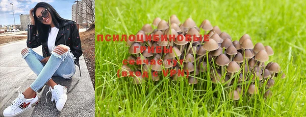 трава Нефтегорск