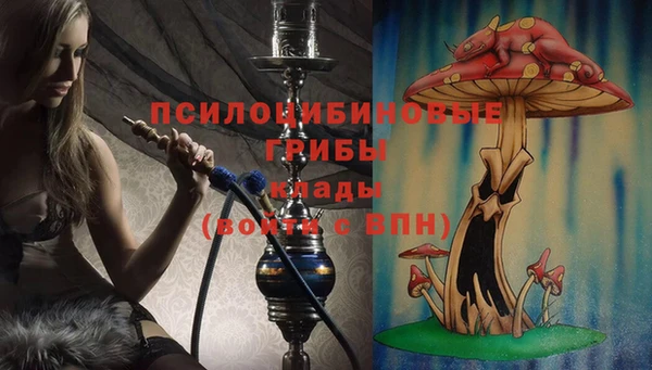 СК Нея